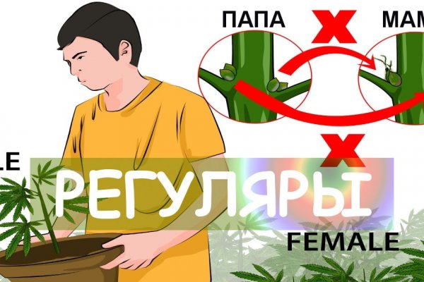Кракена точка нет