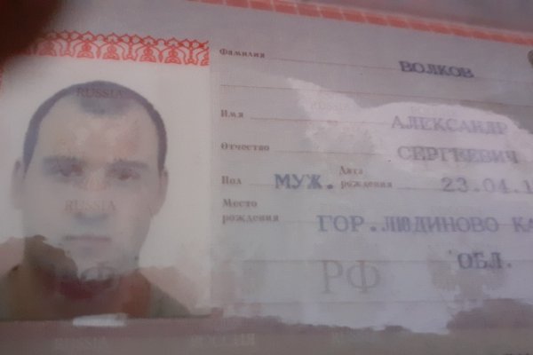 Кракен дарк шоп